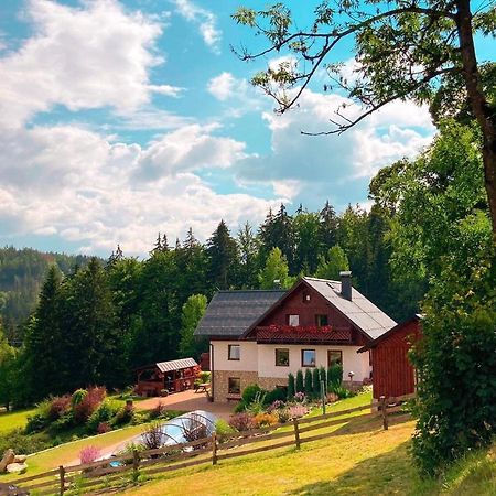 Hotel Na Planyrce à Paseky nad Jizerou Extérieur photo