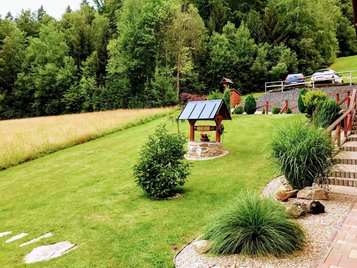 Hotel Na Planyrce à Paseky nad Jizerou Extérieur photo