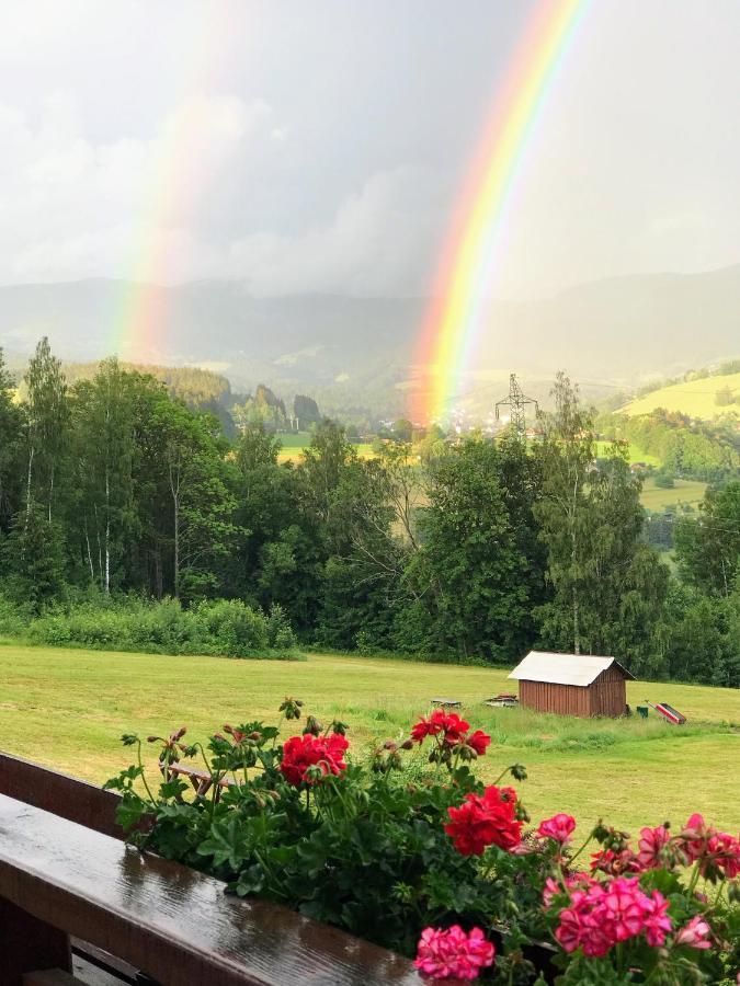 Hotel Na Planyrce à Paseky nad Jizerou Extérieur photo
