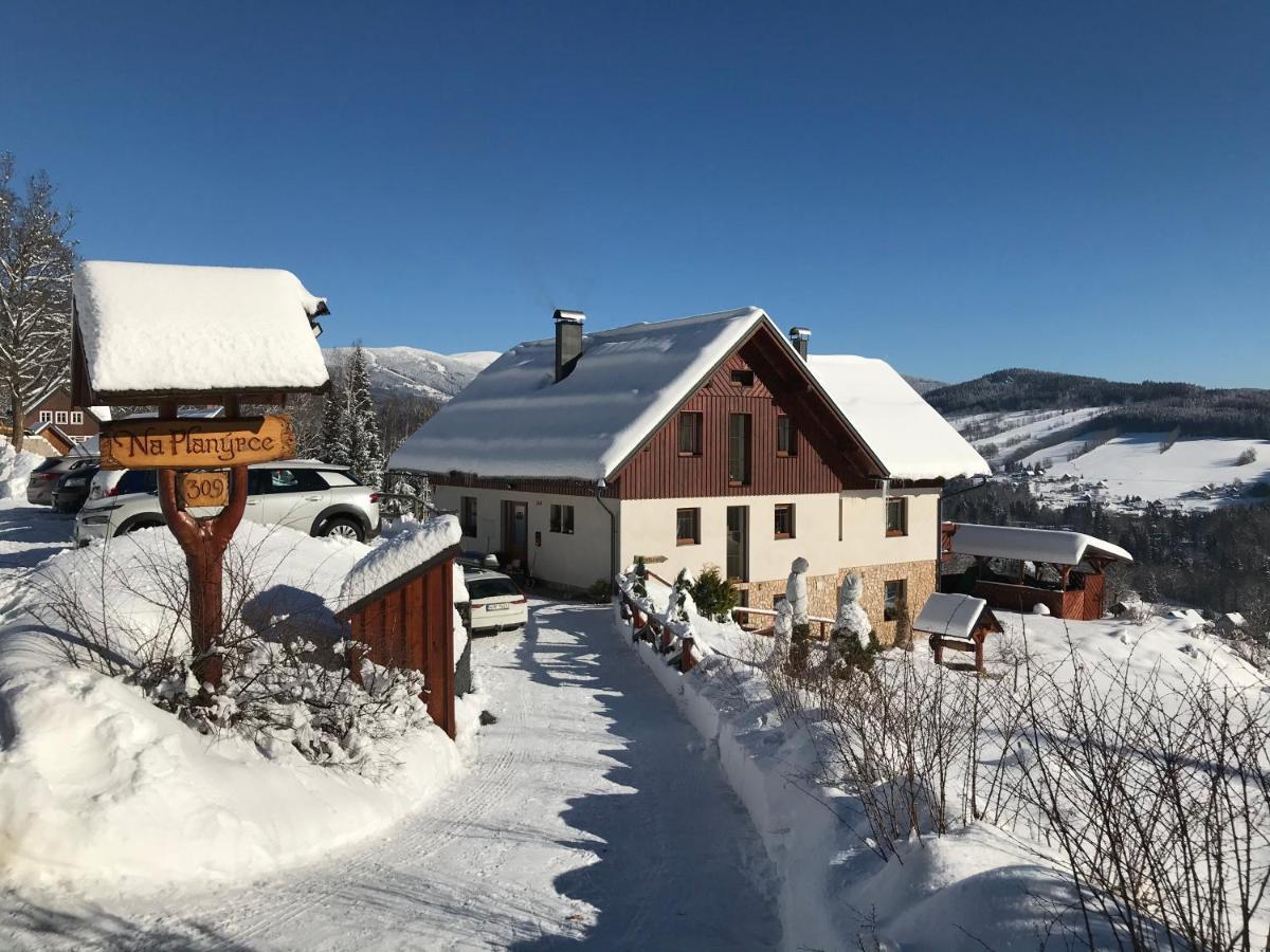 Hotel Na Planyrce à Paseky nad Jizerou Extérieur photo