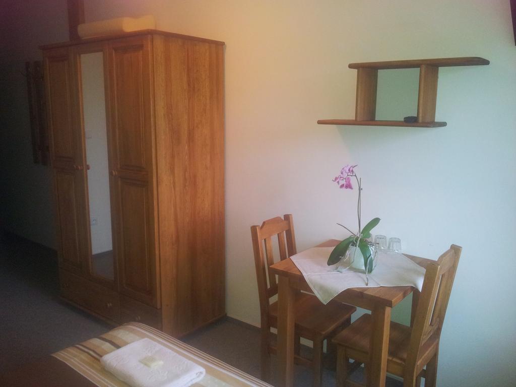 Hotel Na Planyrce à Paseky nad Jizerou Extérieur photo