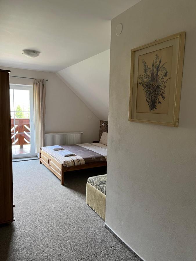 Hotel Na Planyrce à Paseky nad Jizerou Extérieur photo
