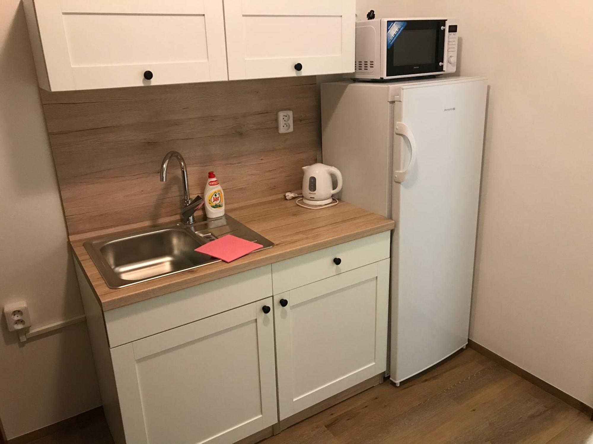 Hotel Na Planyrce à Paseky nad Jizerou Extérieur photo