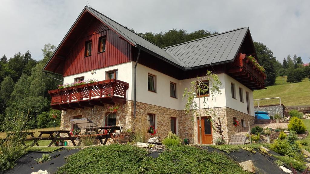 Hotel Na Planyrce à Paseky nad Jizerou Extérieur photo